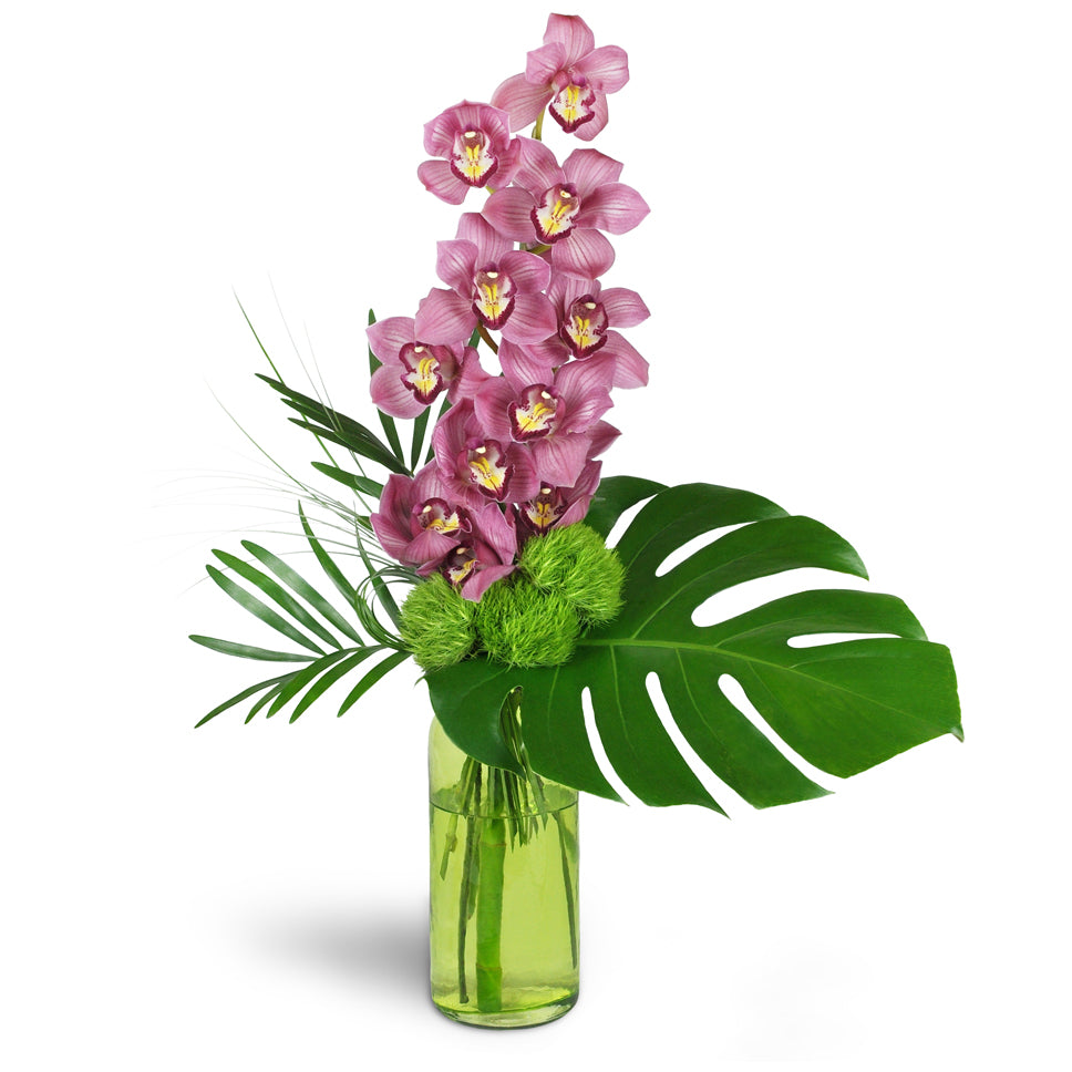 Blushing Grace Orchids. One full stem of pink Cymbidium orchids is arranged with delicate dianthus and tropical leaves in a green glass vase.