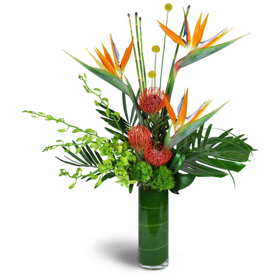 Paradise Flight™. Transport them with birds of paradise, Dendrobium orchids, pincushion protea, and more.