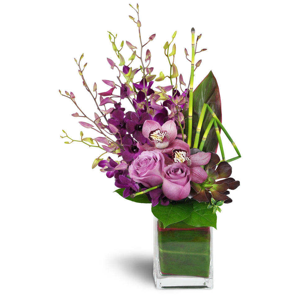 Orchid Jewels™ - Premium. A dazzling array of Dendrobium orchids, a succulent plant, and lavish greens are arranged in a glass vase.