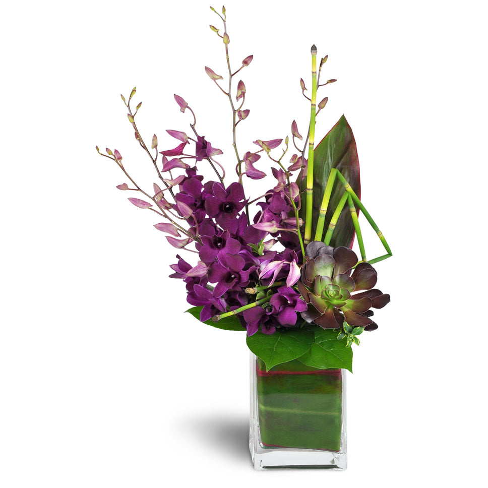 Orchid Jewels™ - Standard. A dazzling array of Dendrobium orchids, a succulent plant, and lavish greens are arranged in a glass vase.