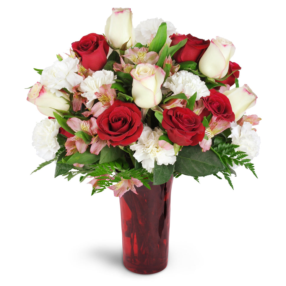 Romance of Roses™ - Premium. Give a stunning gift of red and cream roses arranged with carnations, alstroemeria, and more.