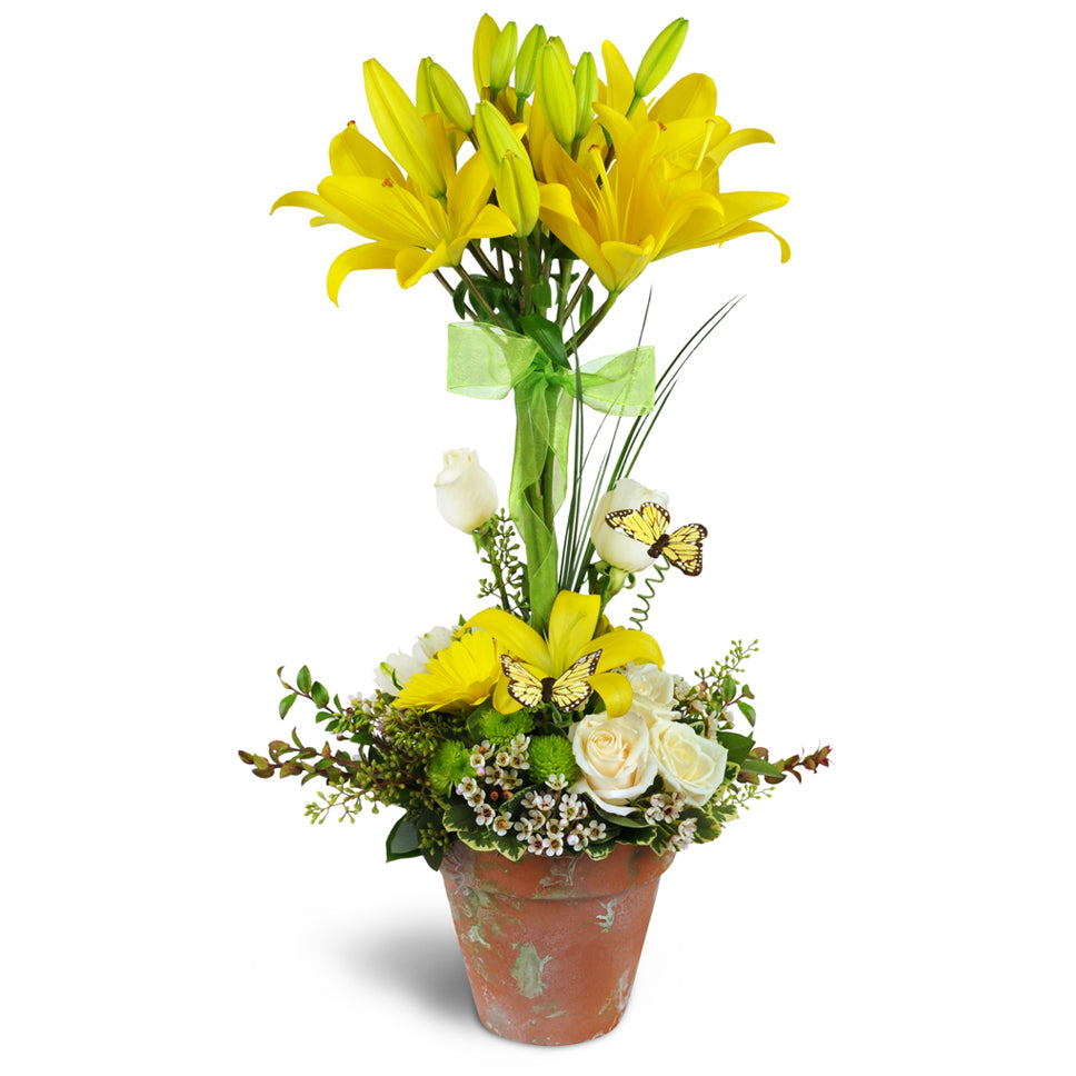 Happiness in Bloom™ Topiary - Premium. Treat them to beautiful Asiatic lilies encircled with Gerbera daisies, alstroemeria, and more.