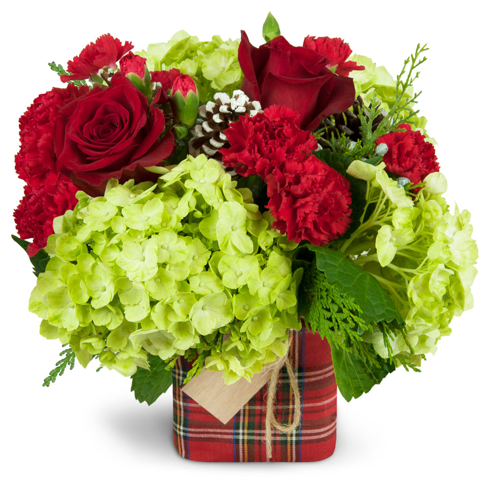 Warm Tidings™ - Deluxe. Roses, carnations, and hydrangea are merrily arranged in a cube vase and wrapped with a festive plaid vase cover.