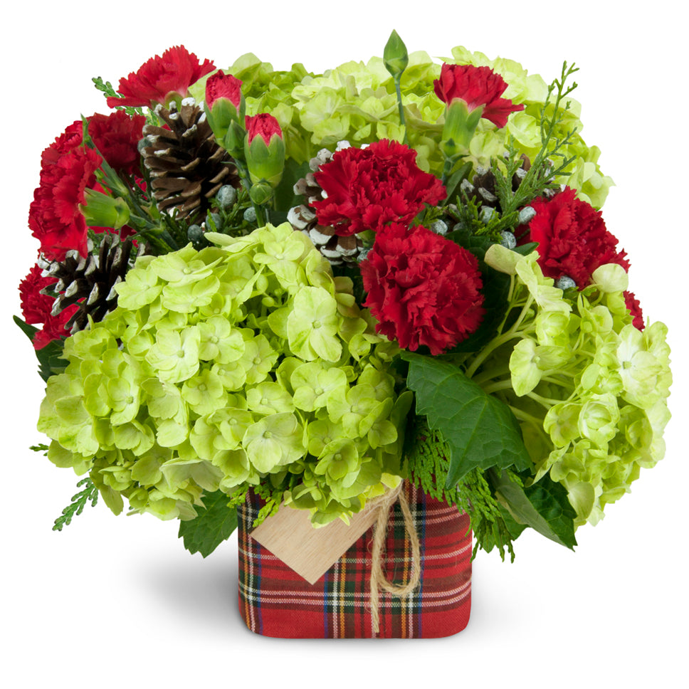 Warm Tidings™ - Standard. Roses, carnations, and hydrangea are merrily arranged in a cube vase and wrapped with a festive plaid vase cover.
