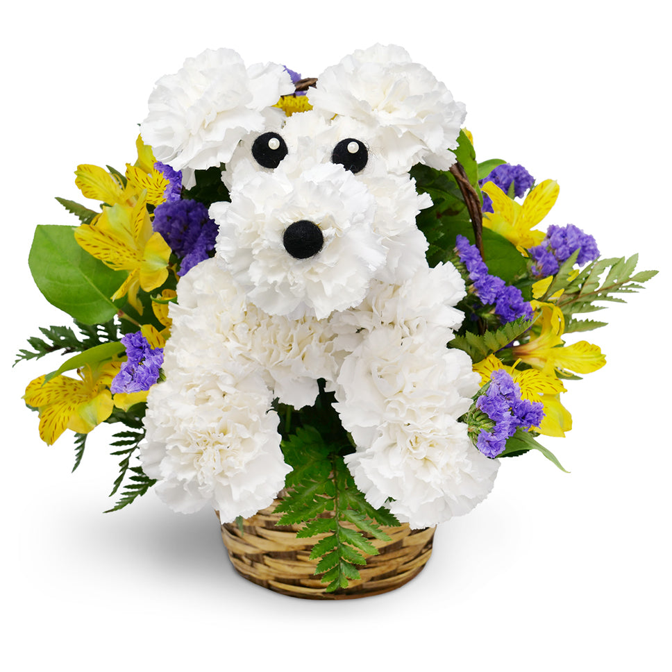 Paws-itively Perfect. It's a "pawsitively" perfect gift for your favorite animal-lover!</p><p>Featuring an adorable arrangement of white carnations, alstroemeria, and more in a basket.