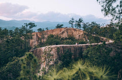 Mountain ridge with trees