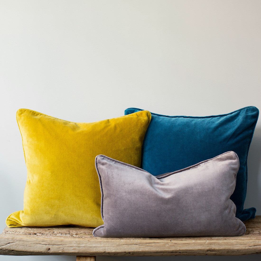 Velvet cushion with piping | HomeAddress