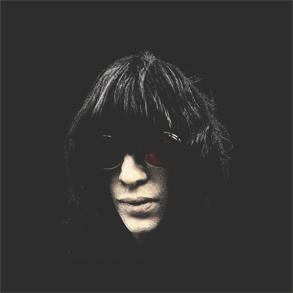 Music Legend: Joey Ramone, Don't Worry About Me Art Print by