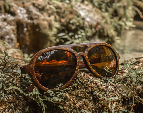 Dragonfly. Bamboo Sunglasses by Bambuddha. Semuc Champey, Guatemala.