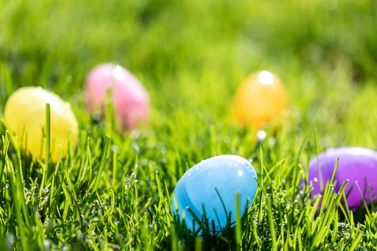 Colorful plastic Easter eggs