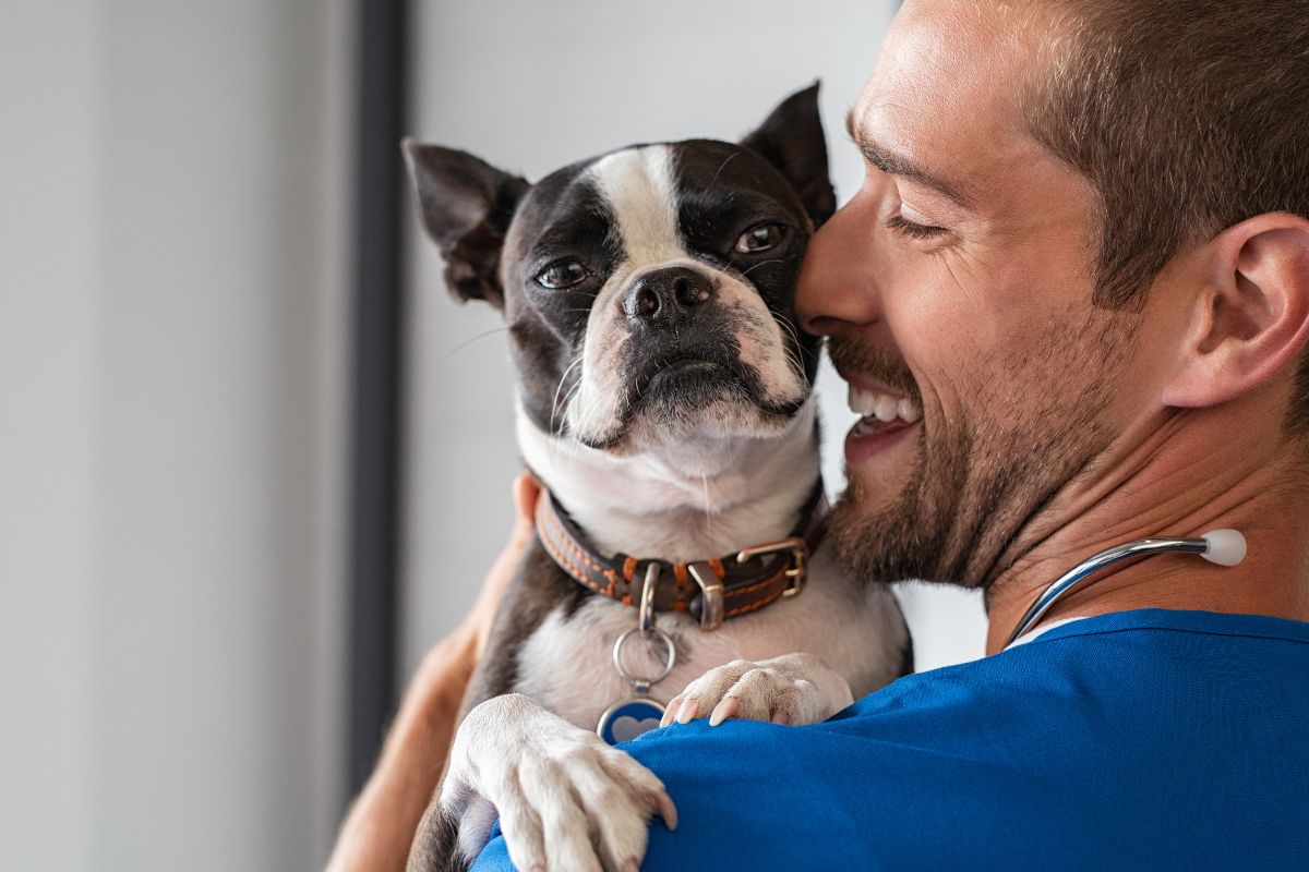 Vet holding a dog.