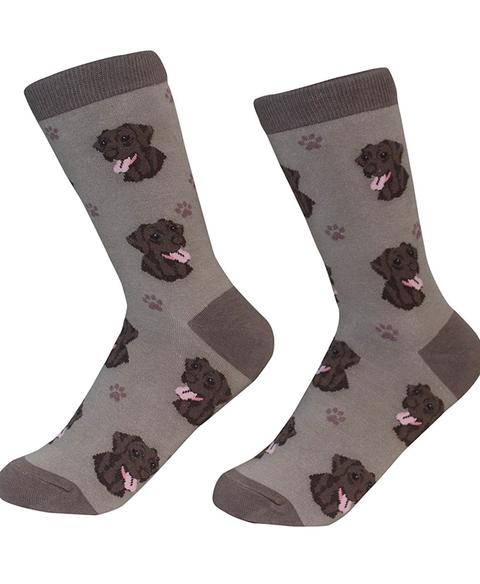 Sock Daddy Chocolate Labrador Socks