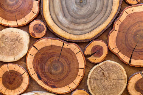 Những điều bạn cần biết về sơn gỗ gốc dầu