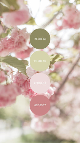 sage green and pink color swatches for baby girl nursery