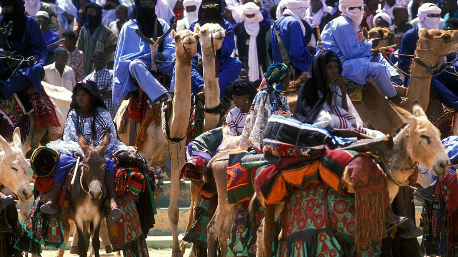 Житель северной африки 6 букв. Туареги кочевники Северной Африки. Туареги племя кочевников Африки. Туарег Кочевник. Туарег племя в Африке.