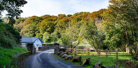 Outside view of Cove Lodge