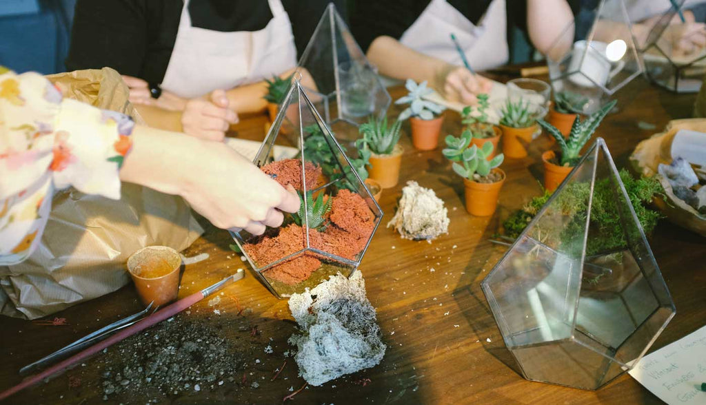 How do you make a terrarium