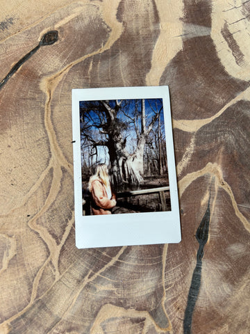Polaroid photo of a blonde-haired woman looking at Louisiana's oldest Bald Cypress tree