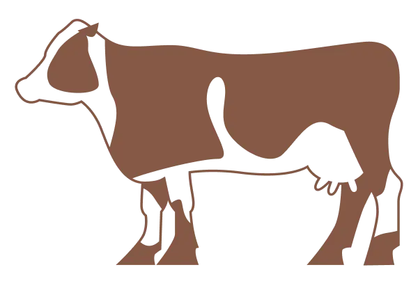 Beef Image
