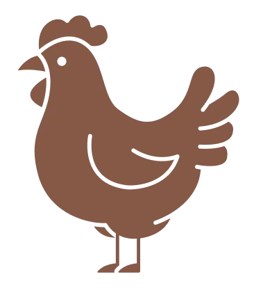Chicken Image