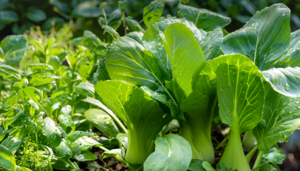 Bok choy growing in a lush, sun-drenched garden, surrounded by other verdant vegetables and herbs, dewdrops glistening on the leaves, a gentle breeze rustles the plants