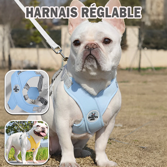 Harnais chien réglable