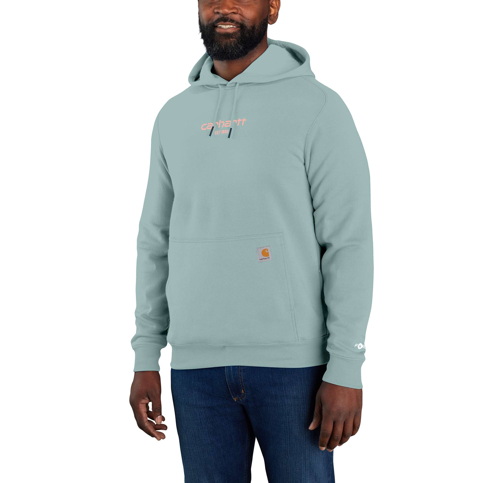 Force Relaxed Fit Lightweight Logo Graphic Sweatshirt Carhartt