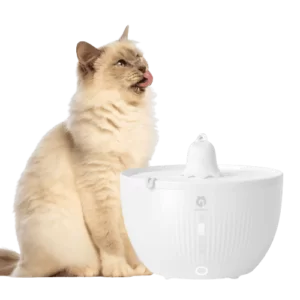 The GULIGULI Pet Water Fountain – Pure and Simple, Both