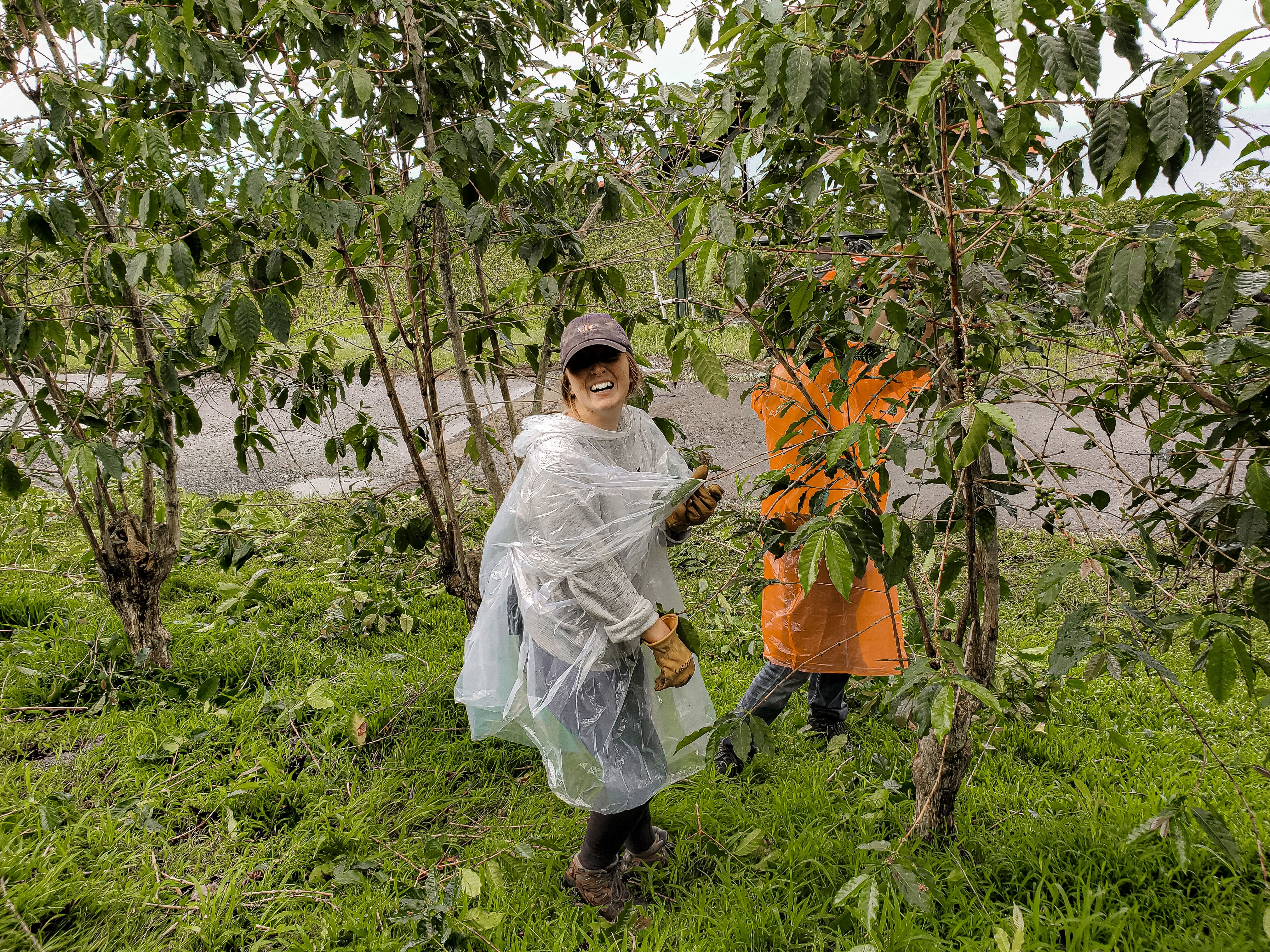 Pruning. March 25. Photograph captured by Ray Taggart.