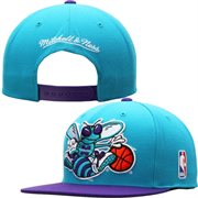 charlotte hornets fan gear