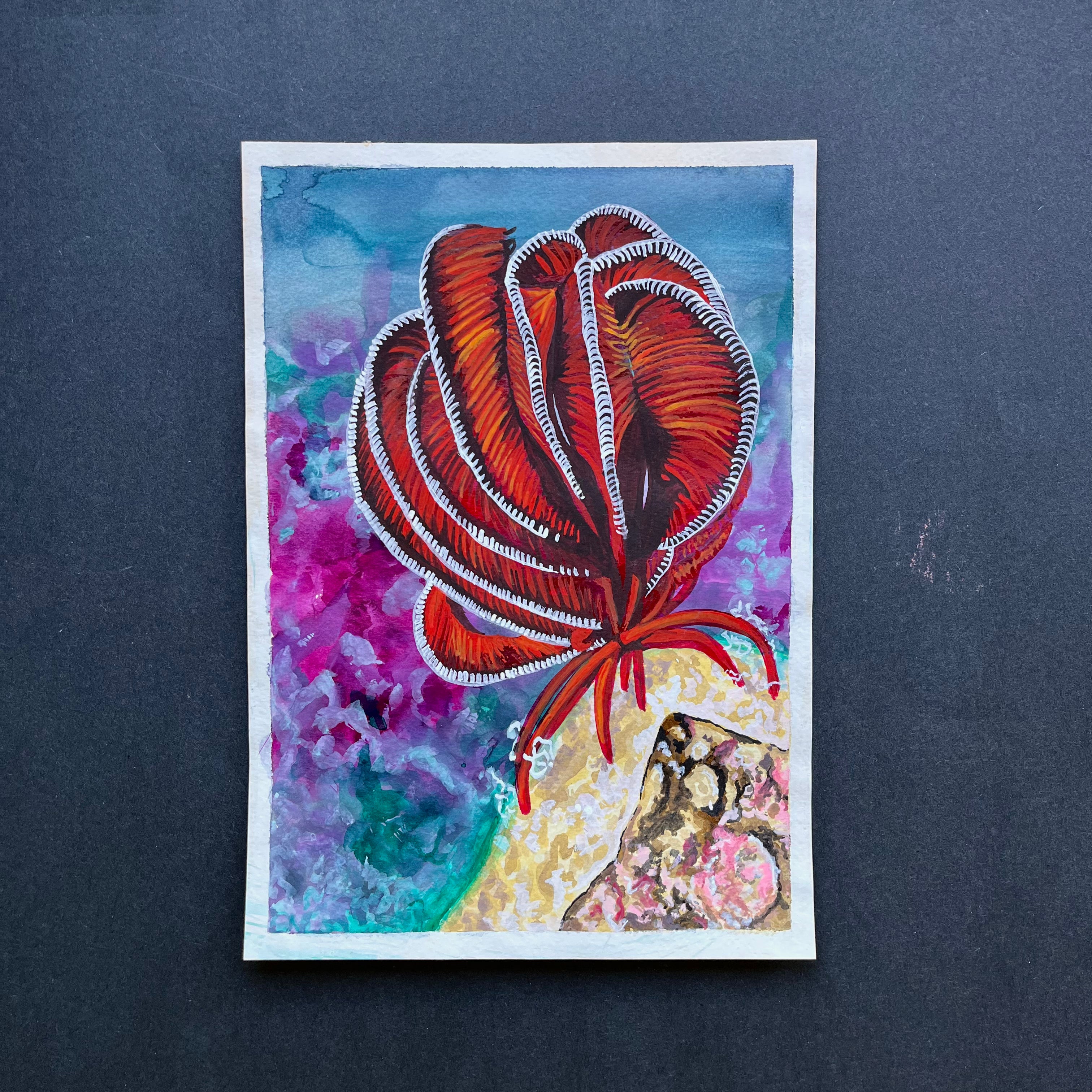 Red Crinoid