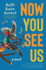 Balli Kaur Jaswal, NOW YOU SEE US: A Novel