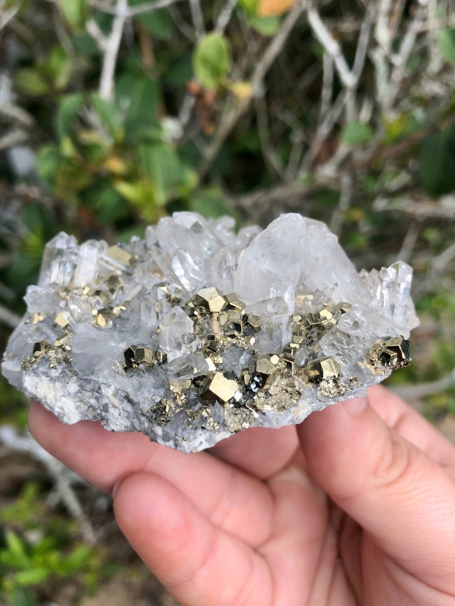 Pyrite Cluster