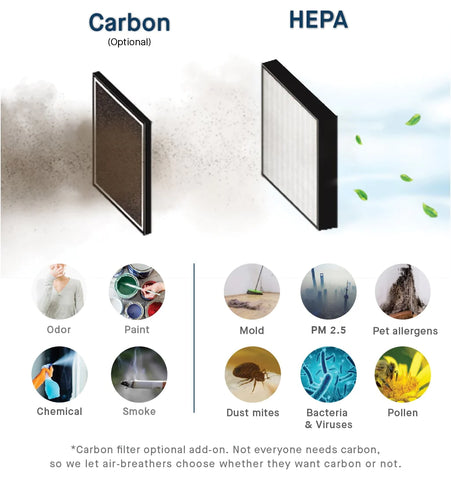 carbon and hepa filters air purifiers effective