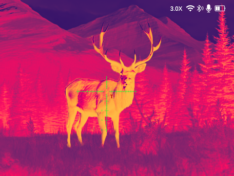 ThermNight-TNC225R-display-modes-RedHot