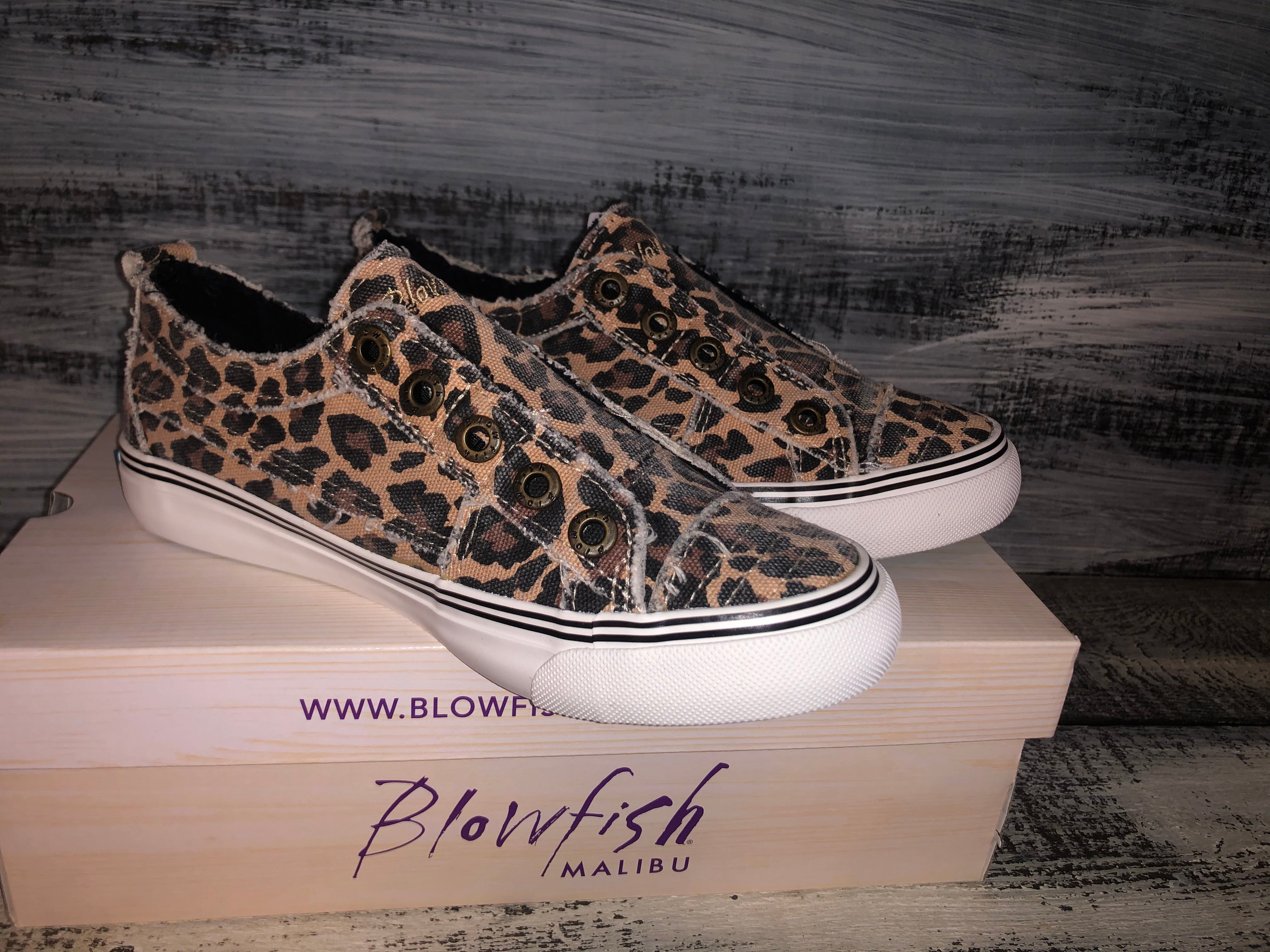 blowfish play leopard