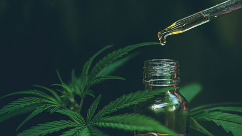 buy cbd oil online