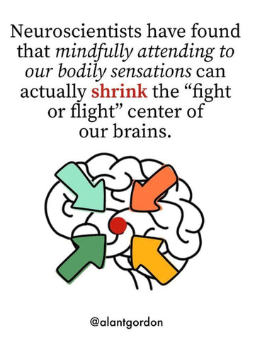 Neuroscientists have found that mindfully attending to our bodily sensations can actually shrink the 'fight or flight' centre of our brains. - Alan Gordon