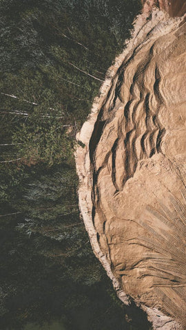 Forest on the edge of a mine