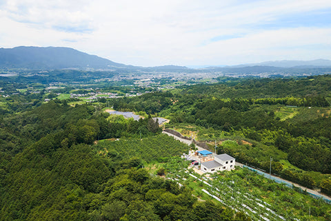 大和五條の風景