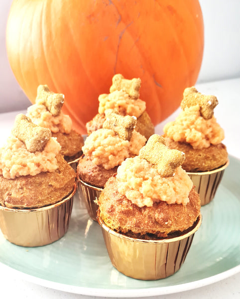 pumpkin peanut butter cakes for dogs