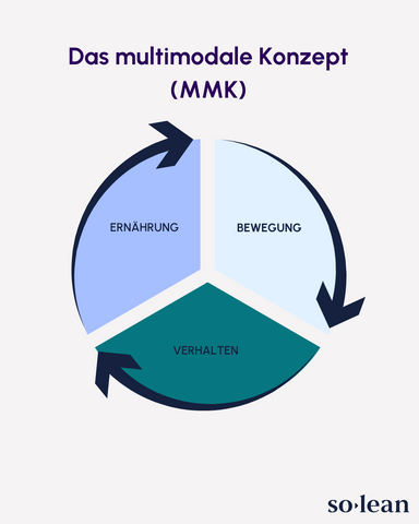 Das MMK (Multimodale Konzept)