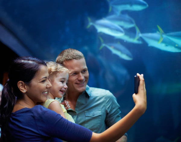 1st Birthday Present Ideas for Daughter - Family Day at the Aquarium