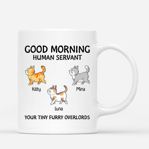 Good Morning Human Servant Your Tiny Furry Overlords Mug as 21st birthday present for son