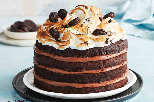 Chocolate and Nutella S’mores Cake for 21st Birthday as birthday cakes 21st ideas