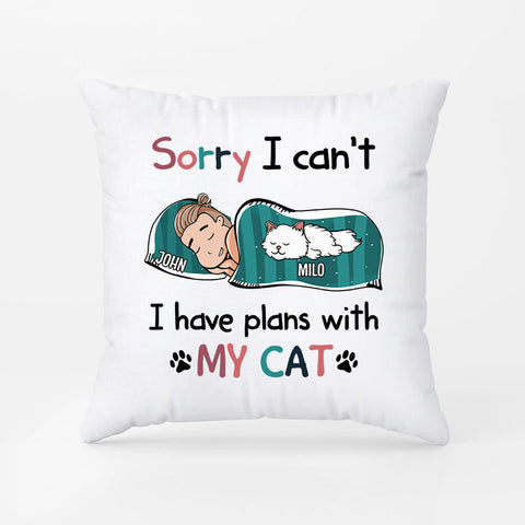 I Have Plans With My Cat Pillow as graduation gift ideas PhD