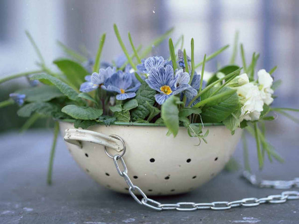 Mother's Day Homemade Gifts - Colander Planters