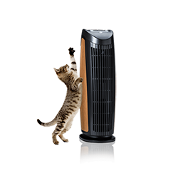 Dander air purifier