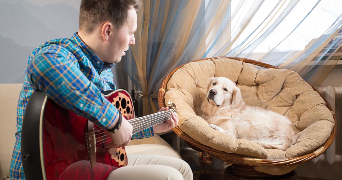 Man playing guitar for a relaxed dog.