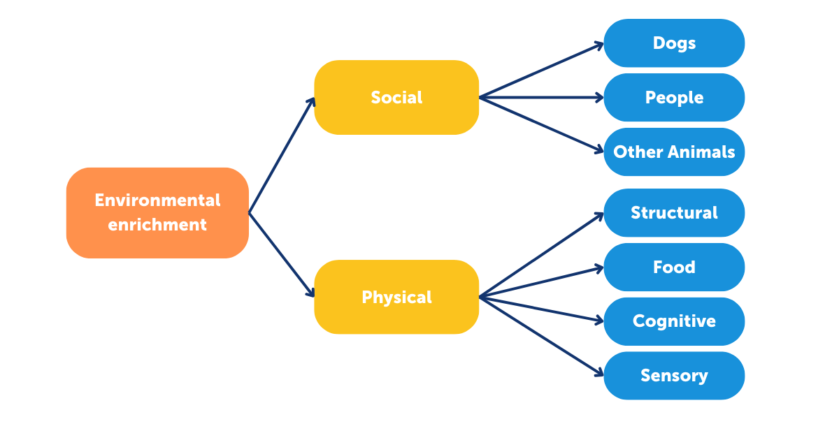 Diagram demonstrating different types of environmental enrichment for dog wellbeing.